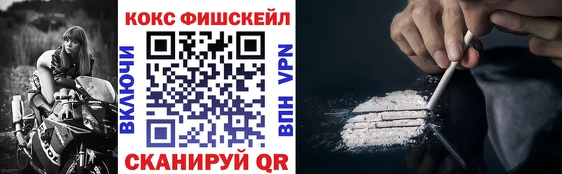 Купить закладки  Жуковский  КОКАИН Fish Scale 