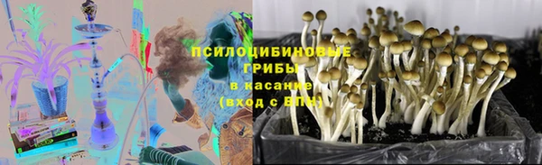 индика Осинники