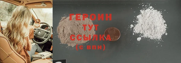 индика Осинники