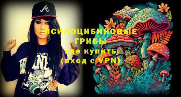 индика Осинники