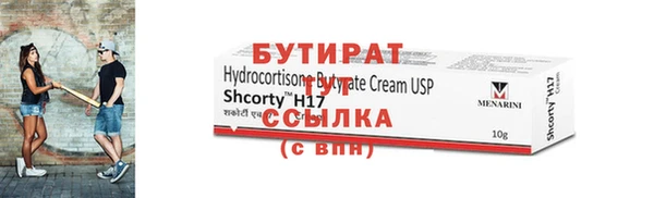 индика Осинники