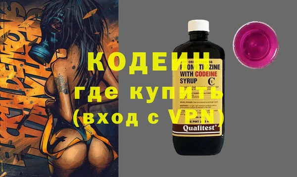 индика Осинники
