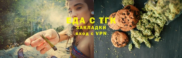 индика Осинники