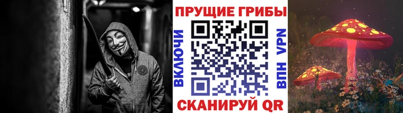 Галлюциногенные грибы мухоморы  Купить  Жуковский 