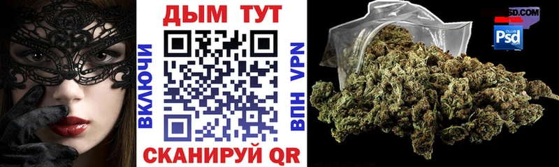 Купить  Жуковский  Конопля OG Kush 